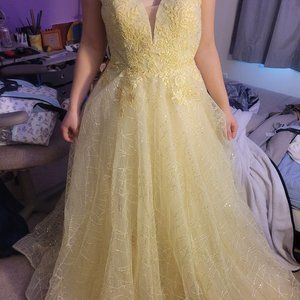 Brand new, never altered size 6 prom dress.